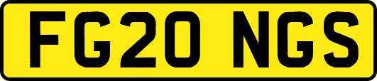 FG20NGS