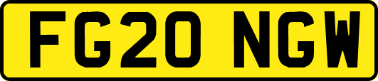 FG20NGW