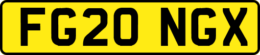 FG20NGX