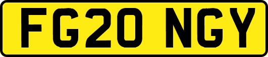 FG20NGY