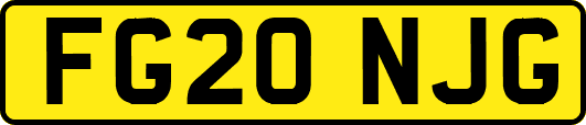 FG20NJG