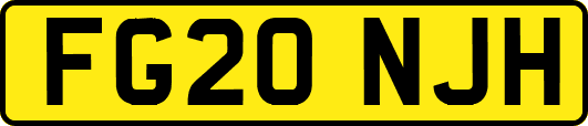 FG20NJH