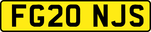 FG20NJS