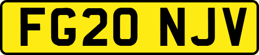 FG20NJV