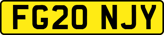 FG20NJY