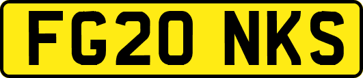 FG20NKS