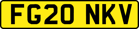FG20NKV