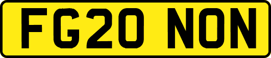 FG20NON