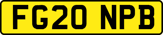FG20NPB