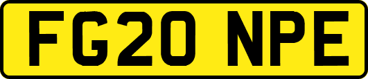 FG20NPE