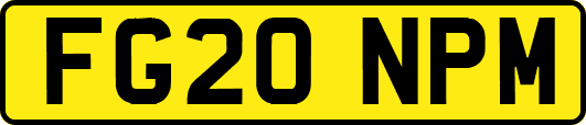 FG20NPM