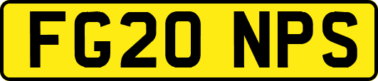 FG20NPS