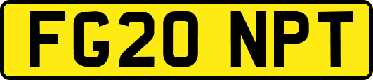 FG20NPT