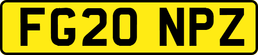 FG20NPZ