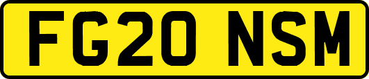 FG20NSM