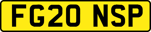 FG20NSP