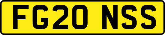 FG20NSS