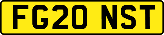 FG20NST