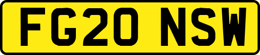 FG20NSW