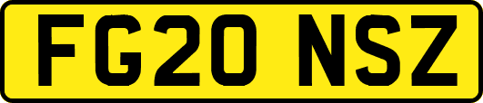 FG20NSZ