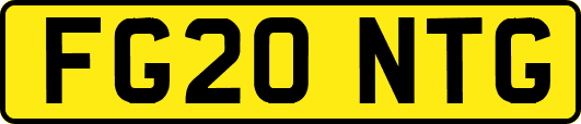 FG20NTG