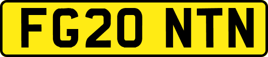FG20NTN