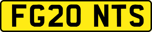 FG20NTS
