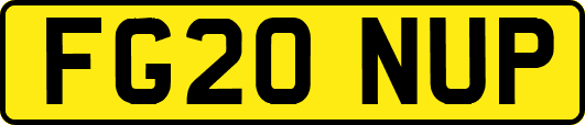 FG20NUP