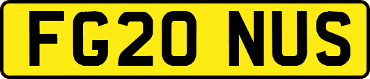 FG20NUS