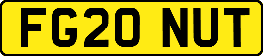 FG20NUT