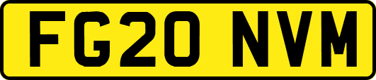 FG20NVM