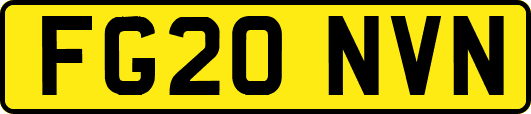 FG20NVN