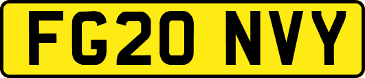 FG20NVY