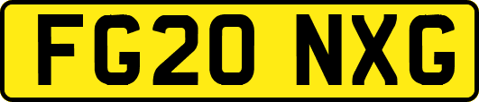 FG20NXG