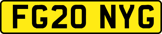 FG20NYG