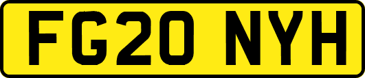 FG20NYH