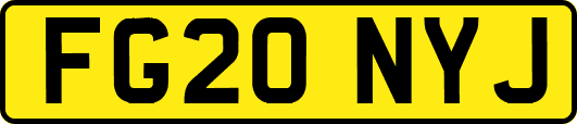 FG20NYJ