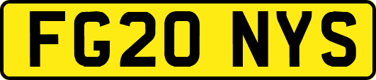FG20NYS