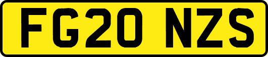 FG20NZS