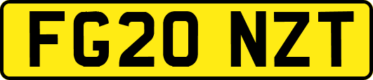 FG20NZT