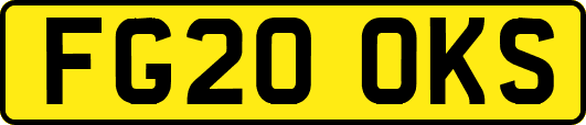 FG20OKS