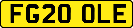 FG20OLE