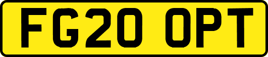 FG20OPT