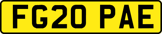 FG20PAE