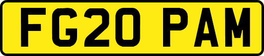 FG20PAM