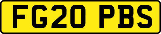 FG20PBS