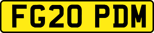 FG20PDM