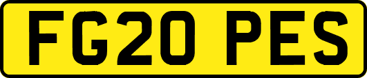 FG20PES