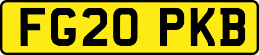 FG20PKB