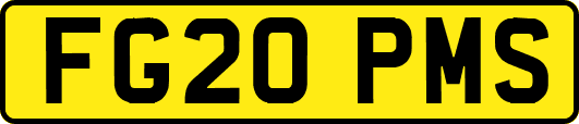 FG20PMS